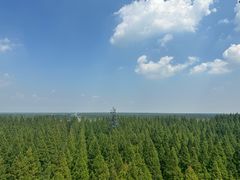 -黄海国家森林公园