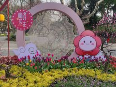 -红梅公园