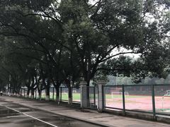 -西南大学（北碚校区）恒温游泳馆