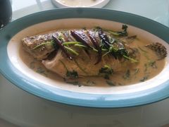 -梅飞酒家(名辉豪庭店)