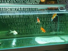 -拿渡麻辣香锅(和谐广场店)