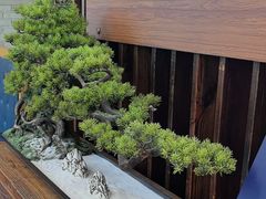 -湘水滨·臭鳜鱼·湘菜(马驹桥店)