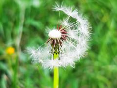 -延安杨家岭革命旧址