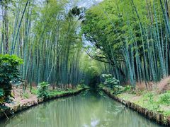 -同里国家湿地公园