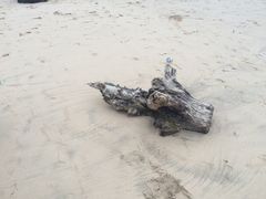 -金巴兰海滩烛光bbq