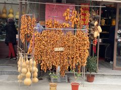 -中环花鸟鱼虫市场