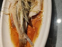 清蒸鲈鱼-春来和(汉城南路店)