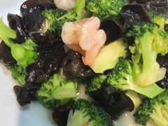 -来相会饺子·新辽菜(甘家口店)