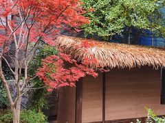 -汤家茗苑·精致私房菜(白沙店)