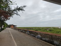 -北海金海湾红树林生态旅游区