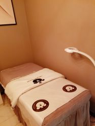 -三只熊皮肤管理中心