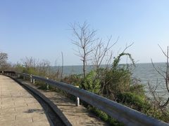 -巢湖姥山岛