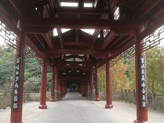 -重庆彩云湖湿地公园
