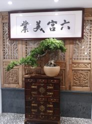 -六宫Spa女子养护中心