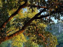 -星湖旅游景区七星岩