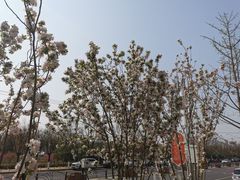 -燕郊植物园