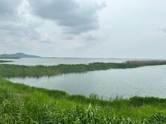 -苏州太湖湖滨国家湿地公园