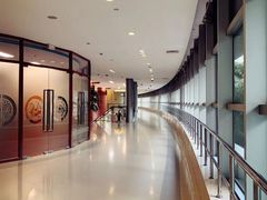 -上海中医药大学附属曙光医院(东部)