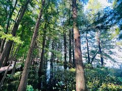 -东湖落雁景区