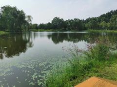 -东郊湿地公园
