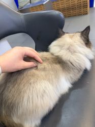 -CIT造型·烫发·染发