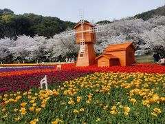 -苏州上方山国家森林公园