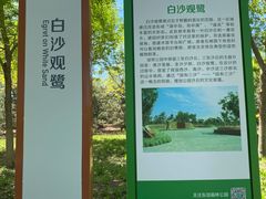 -东郊湿地公园