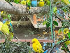 -南宫五洲植物乐园