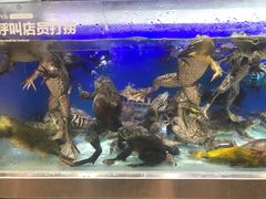 -盒马鲜生(枣园路店)