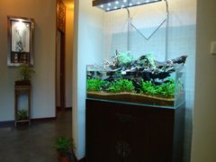 大堂-Together·泰式按摩精油SPA(天山店)