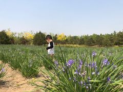 -东郊湿地公园