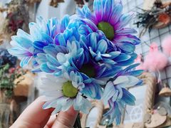-ChaKo Flora ·茶子花艺 (市北店)