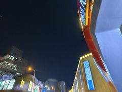 -鹏欣水游城