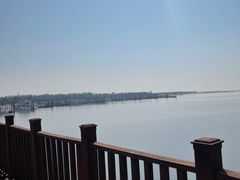 -洪湖湿地生态园