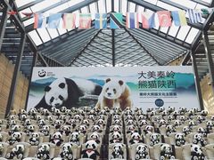 -西安大唐西市博物馆