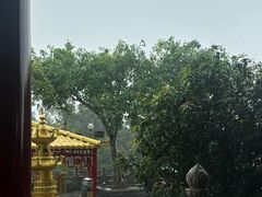 -广州莲花山旅游区