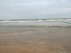 -日照海滨国家森林公园