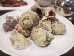 -四海蒸鲜蒸汽海鲜自助(北戴河店)