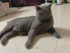 -祥胜美食