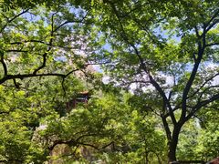 -崂山九水游览区
