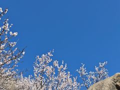 -北京凤凰岭