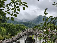 -大屏嶂森林公园
