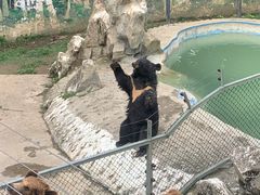 -成都动物园