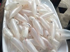 鲮鱼泡-章记正宗南岗鱼蛋火锅