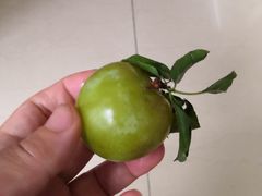 -呼吸森林·生态农庄农家乐私房菜