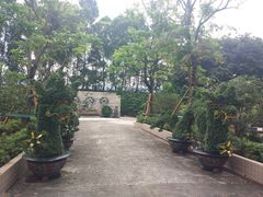 -广东圆玄道观