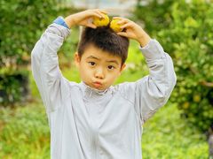 -前小桔亲子创意农场·草莓采摘·露营烧烤