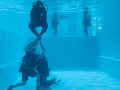 -上海潜殿潜水中心