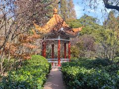 -八大关景区