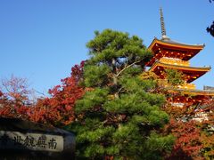 -% Arabica(京都东山店)